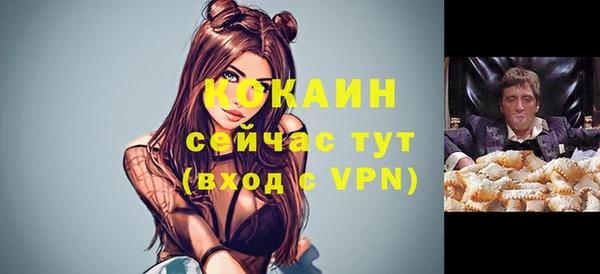 прущие крисы Дмитриев