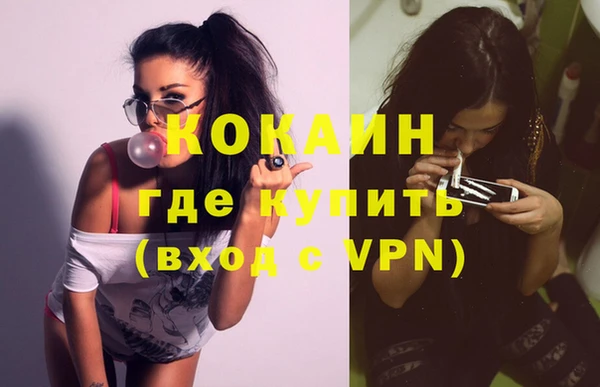 стаф Елизово