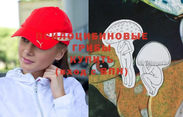 мдпв Дмитровск