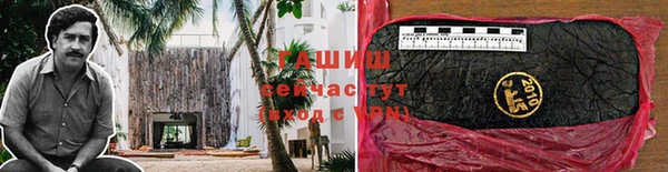 стаф Елизово